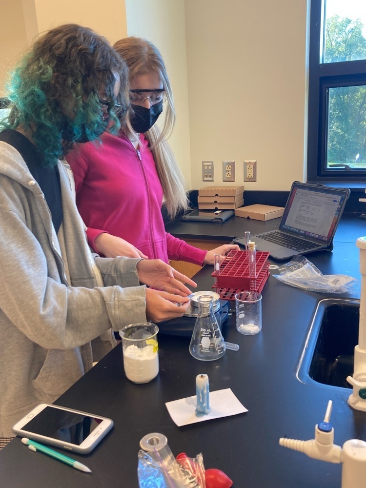 lab