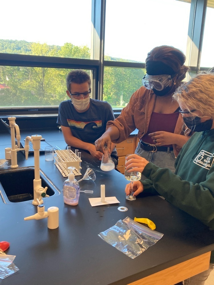 lab