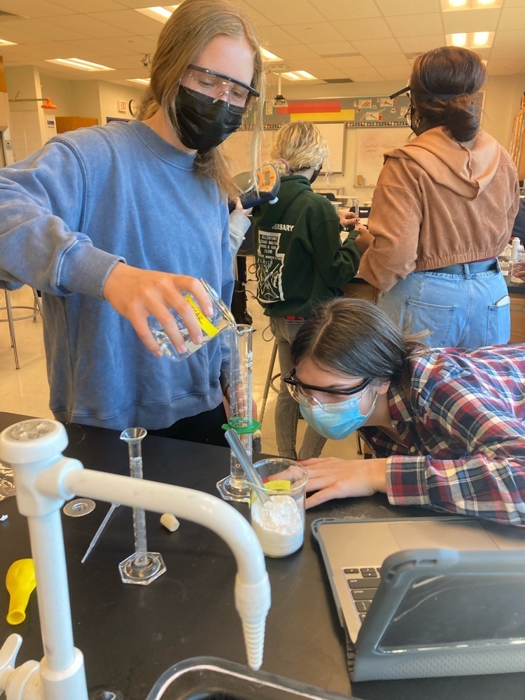 lab