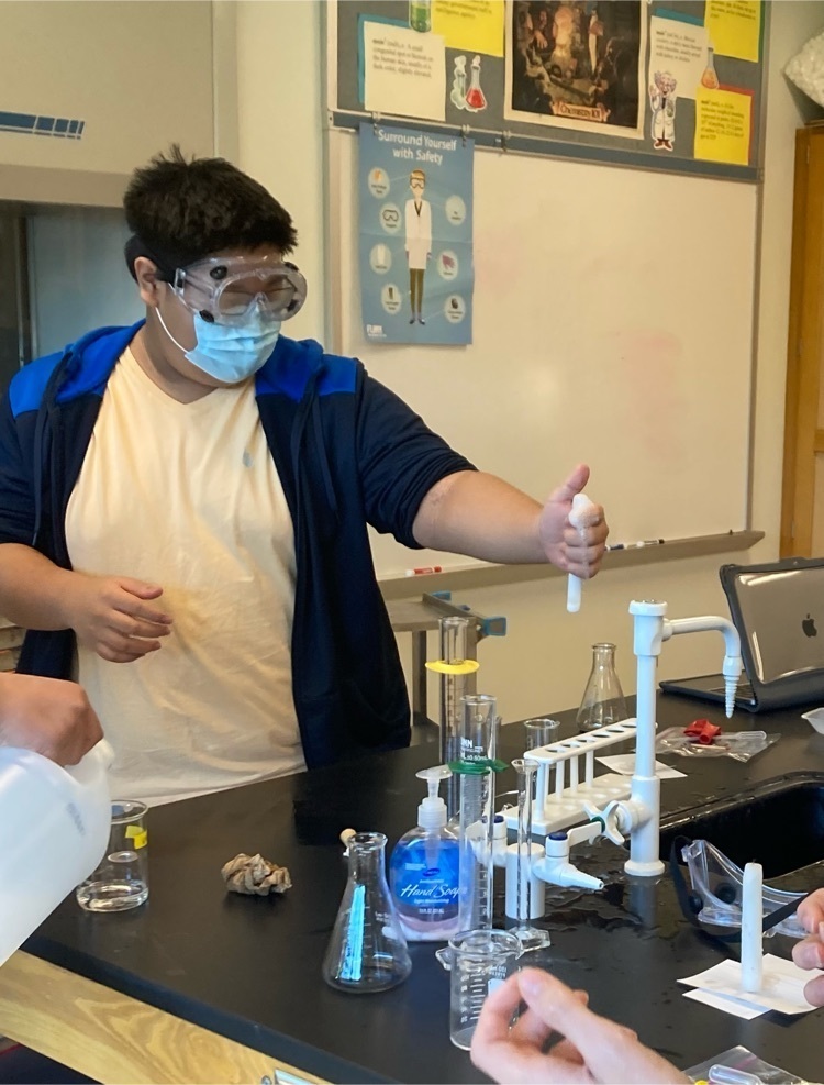 lab