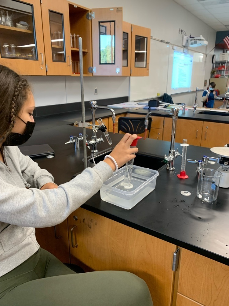 students doing a lab