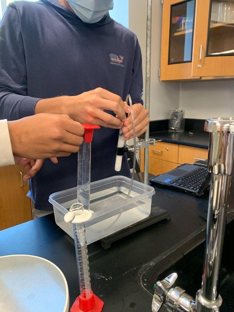 students doing a lab