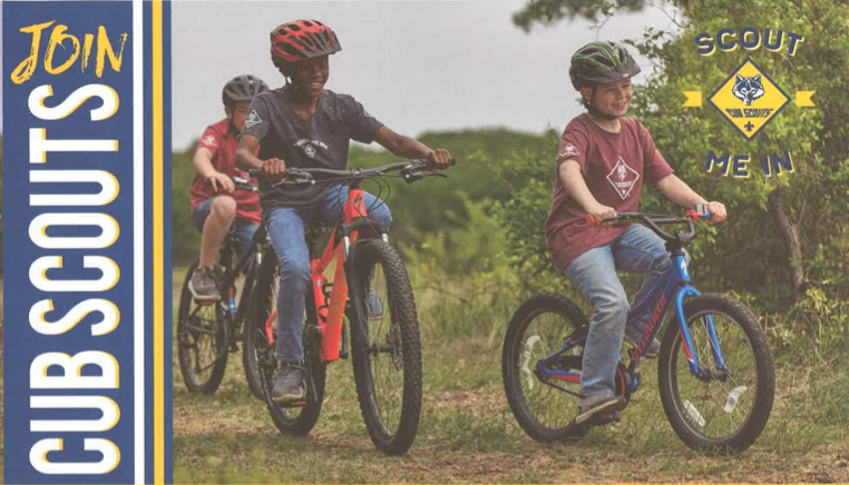 Cub Scouts