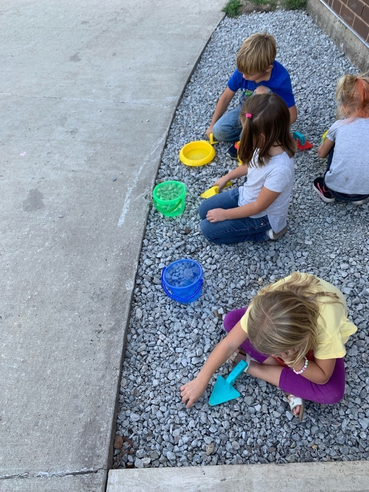 K students digging