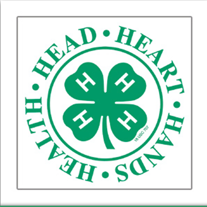 4-H