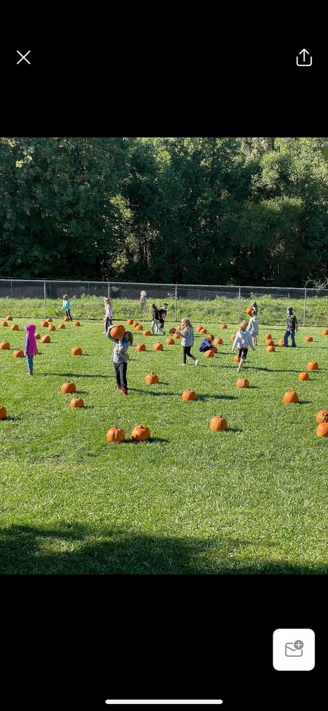 Pumpkin Patch