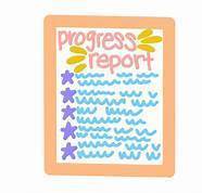 Progress Report