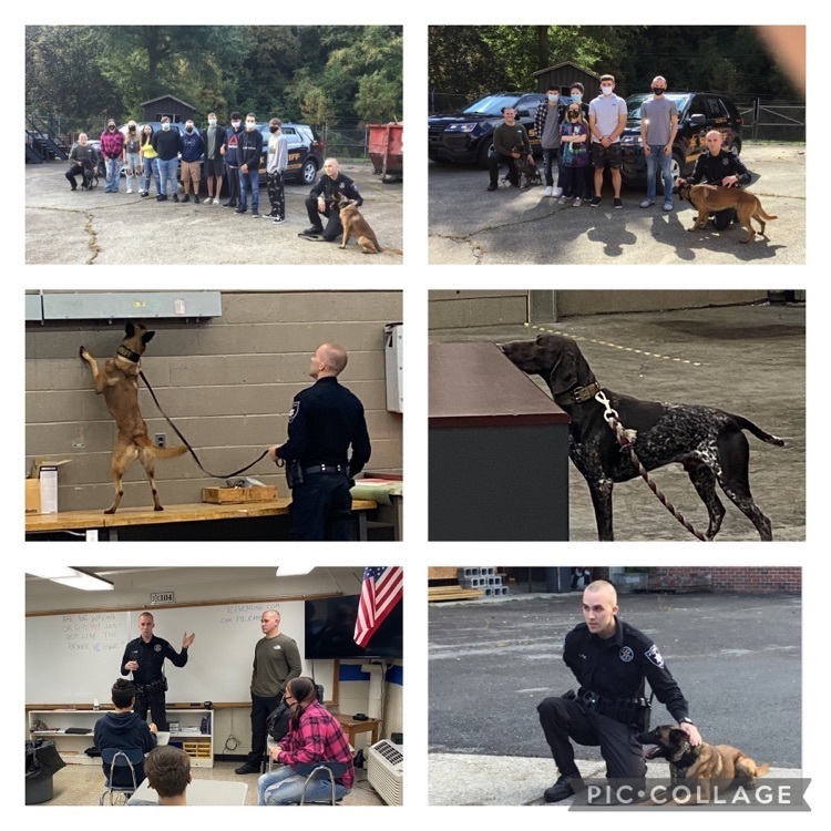 police and police dog
