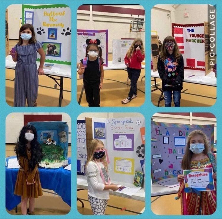Reading fair projects