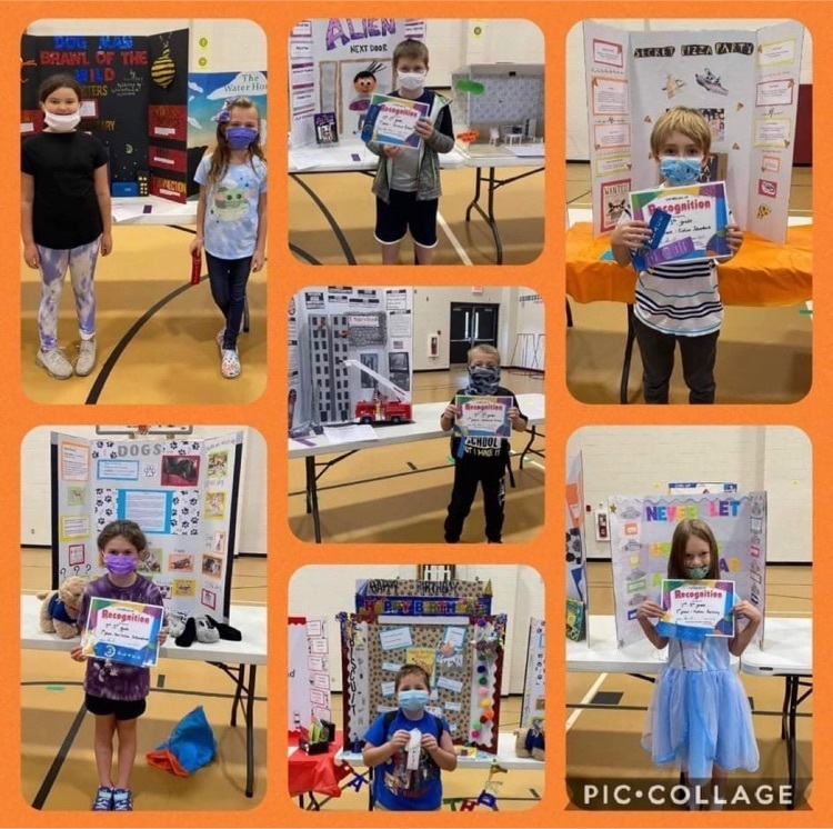 Reading fair projects