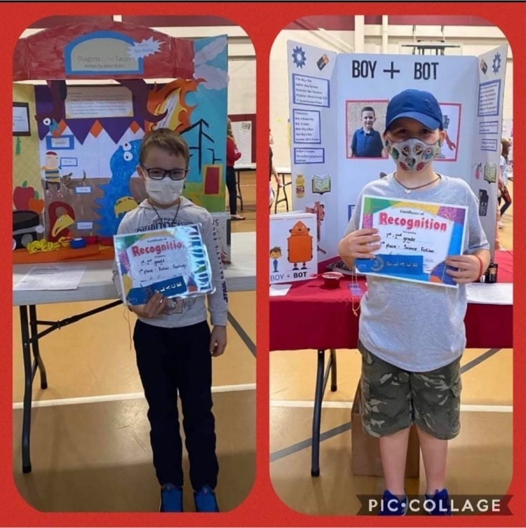Reading fair projects