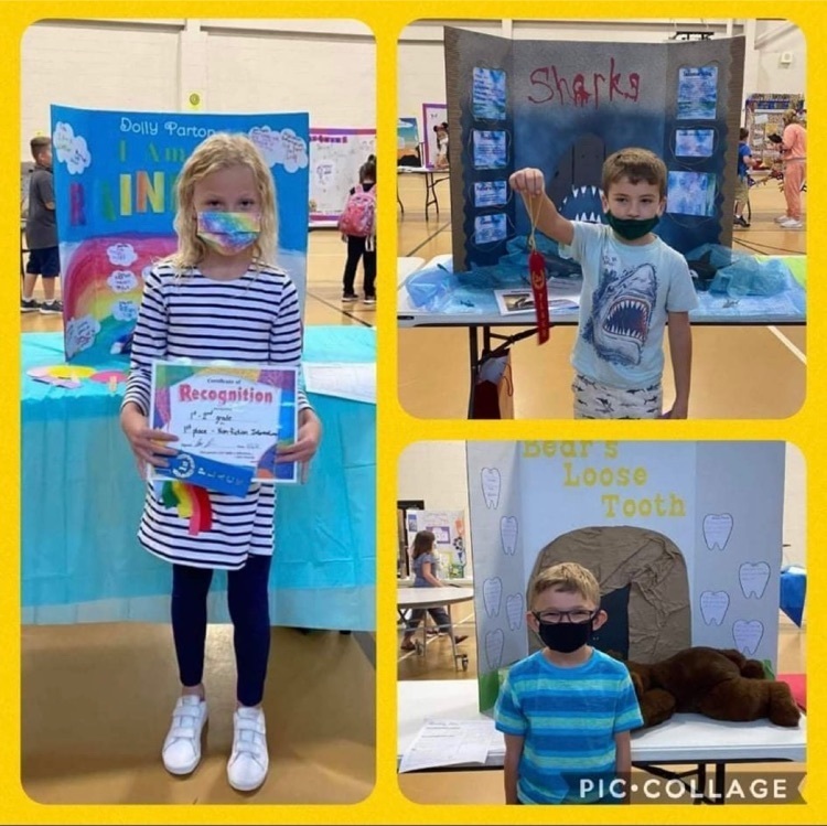 Reading fair projects