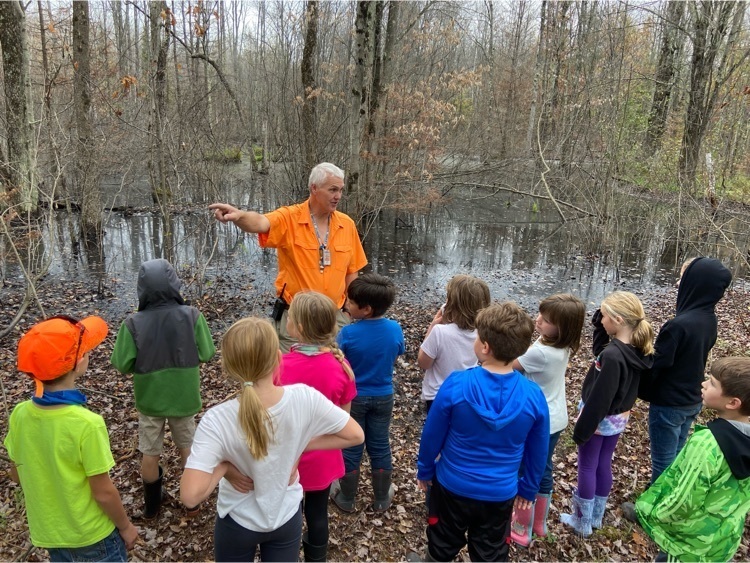 beaver habitats