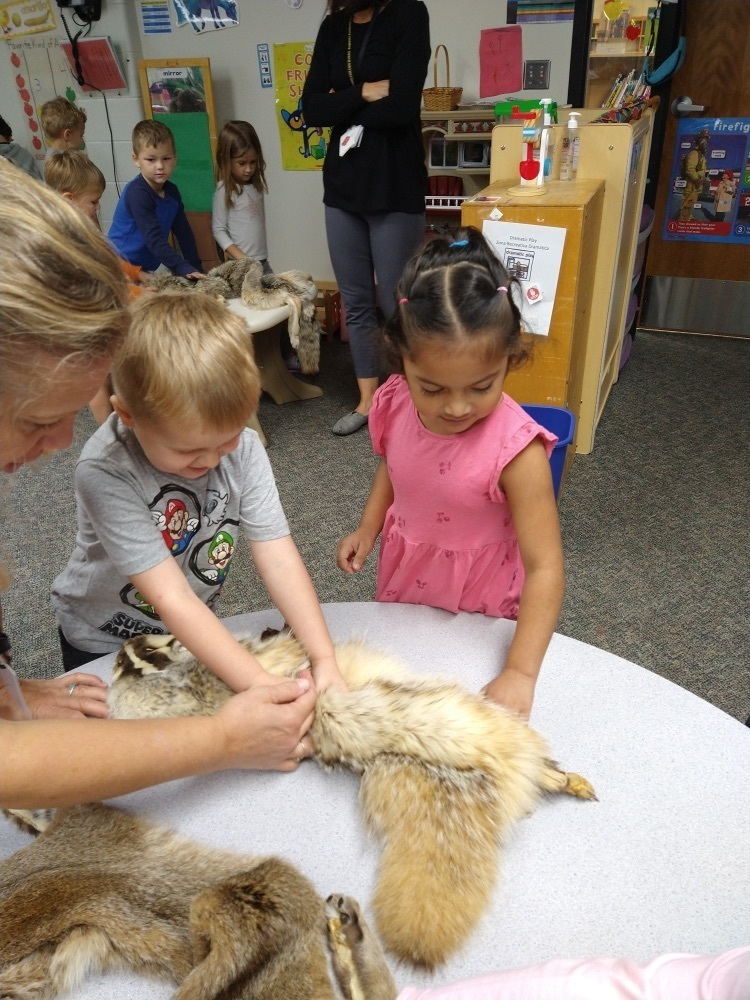 Naturalist visit