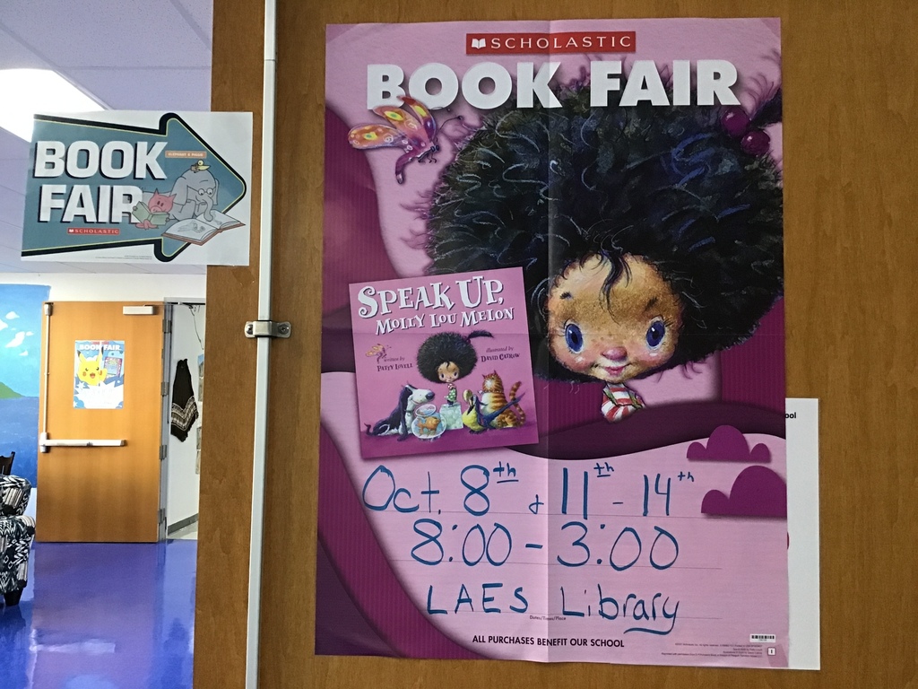 Book fairl