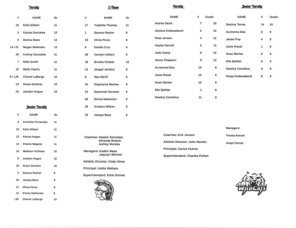 vb program