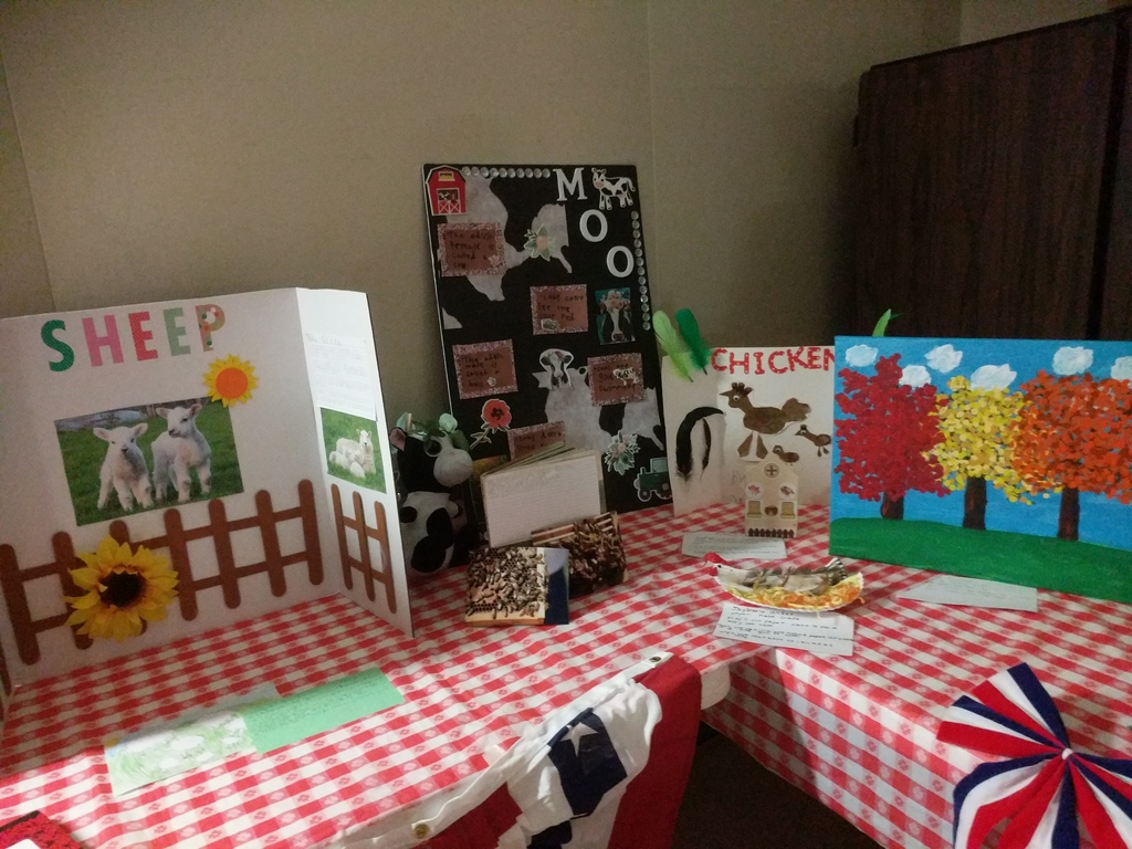 First Grade County Fair