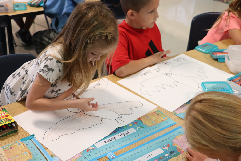 students coloring bats