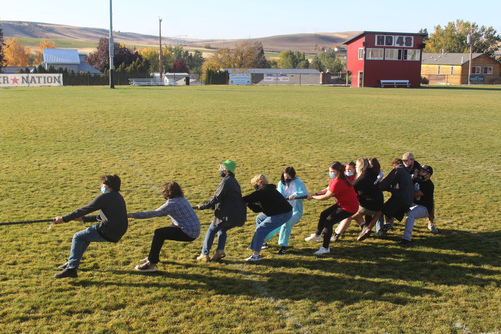 Homecoming Activities 