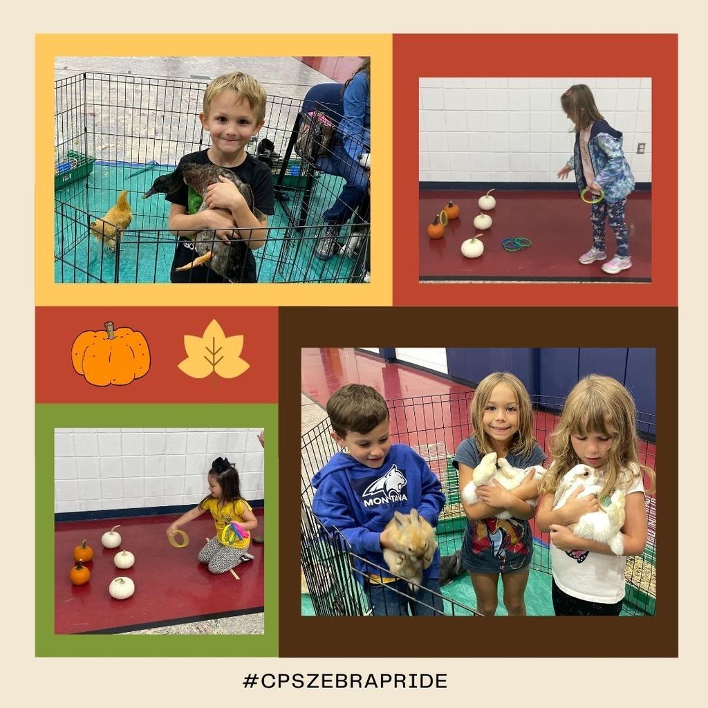 Fall Festival
