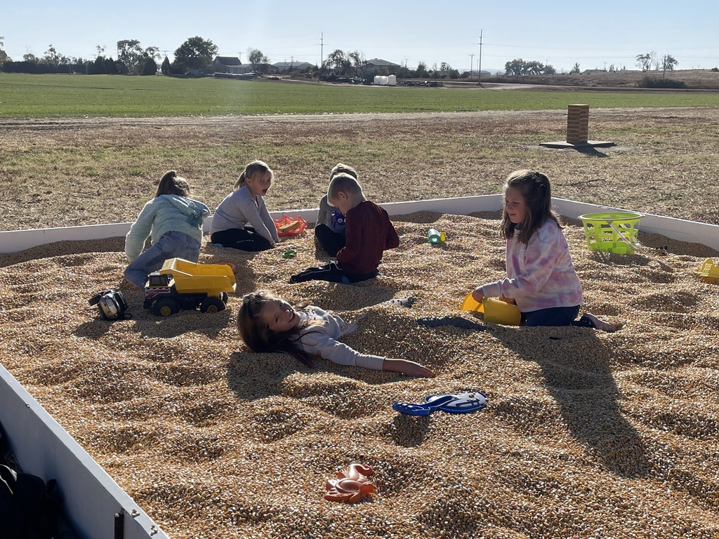 Students playing in the seed pit