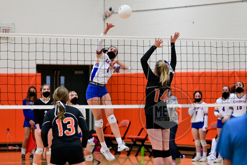 volleyball  game