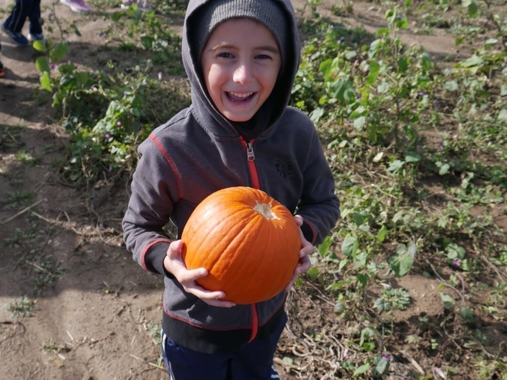 A boy smiling with his pumpkin
