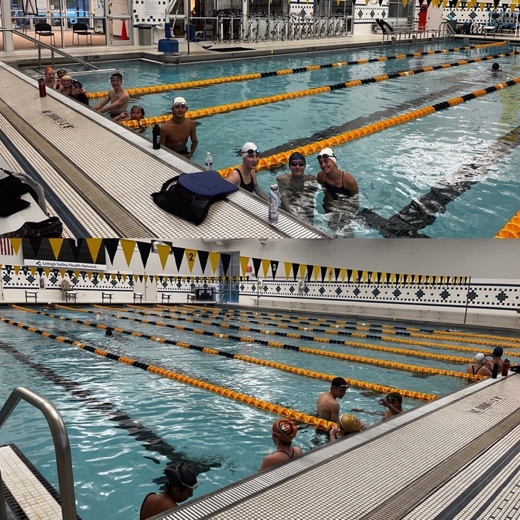 swim