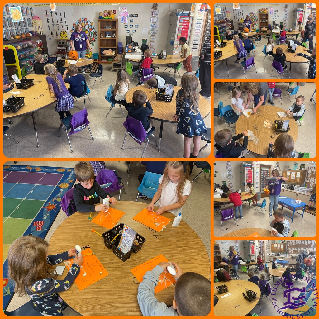 Pumpkin Science in Gaudino's Class
