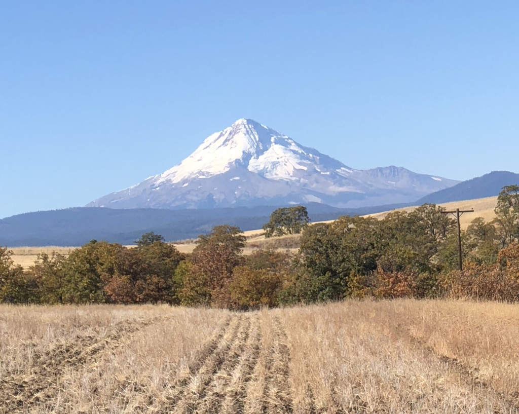 Mt. Hood from Ranger Nation