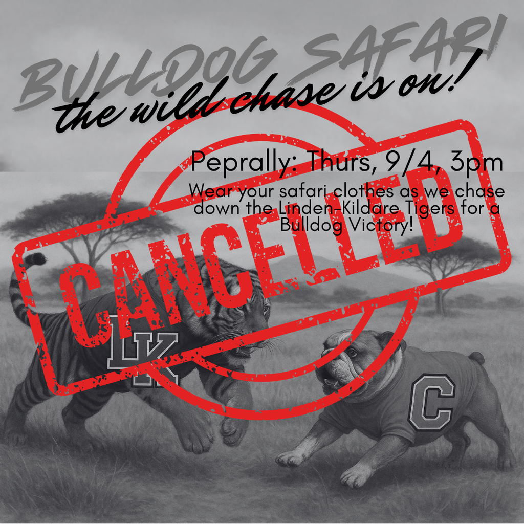 Bulldog Safari the WILD CHASE is on! (2)