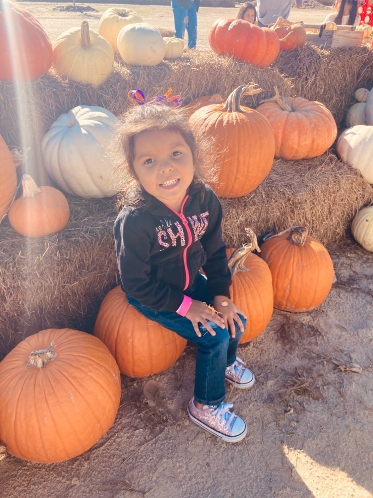 Fall is beautiful