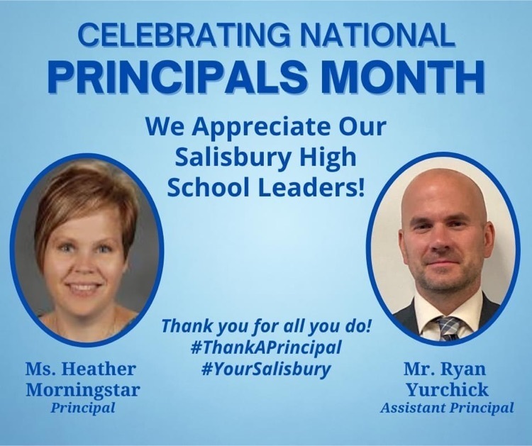 Hs 