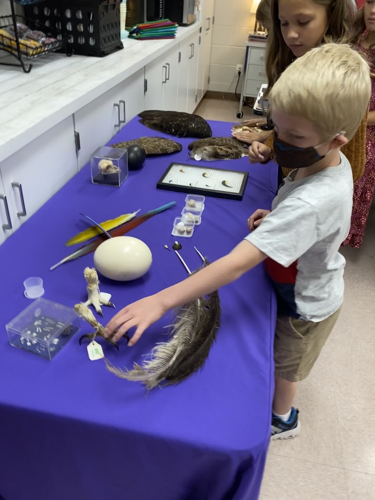 kids touching zoo artifacts
