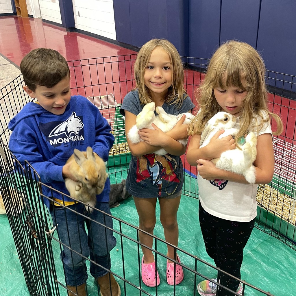 3 students holding chickens