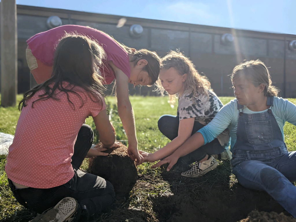 planting trees