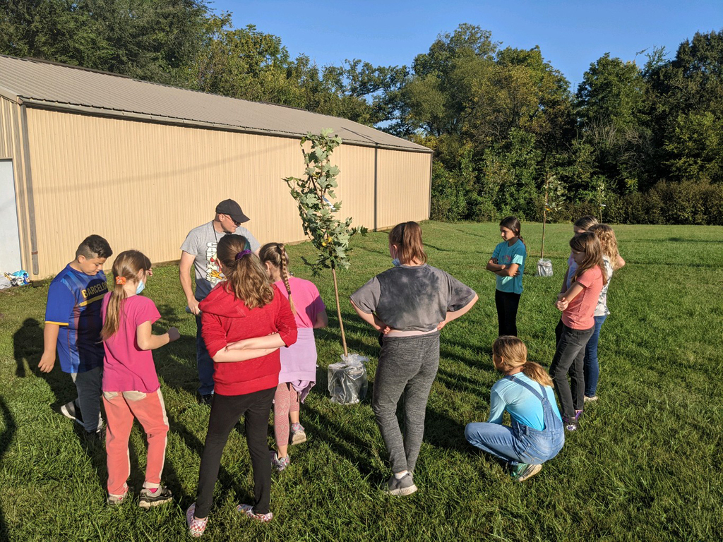 planting trees