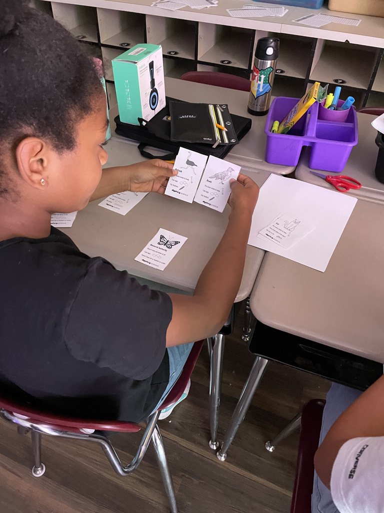 student looking at cards with crows