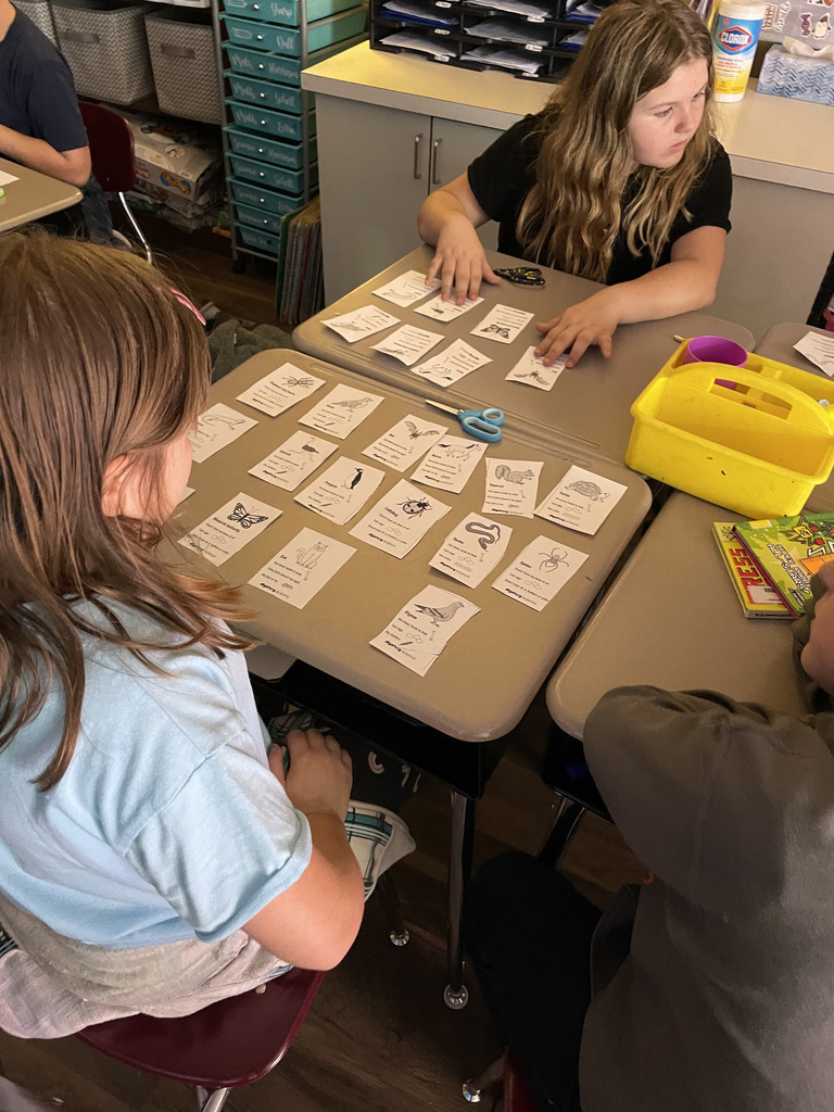 two girls matching cards on their desks