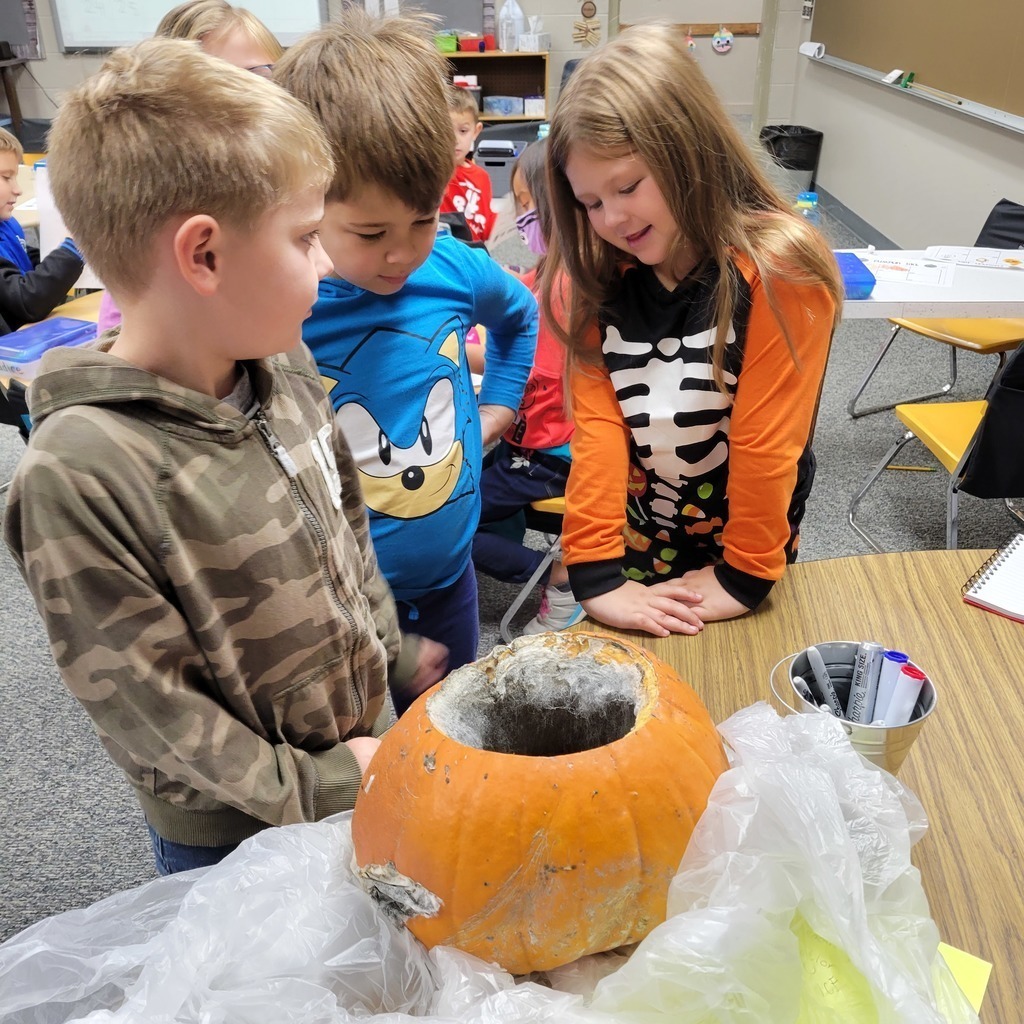 kids looking at molded pumpkin