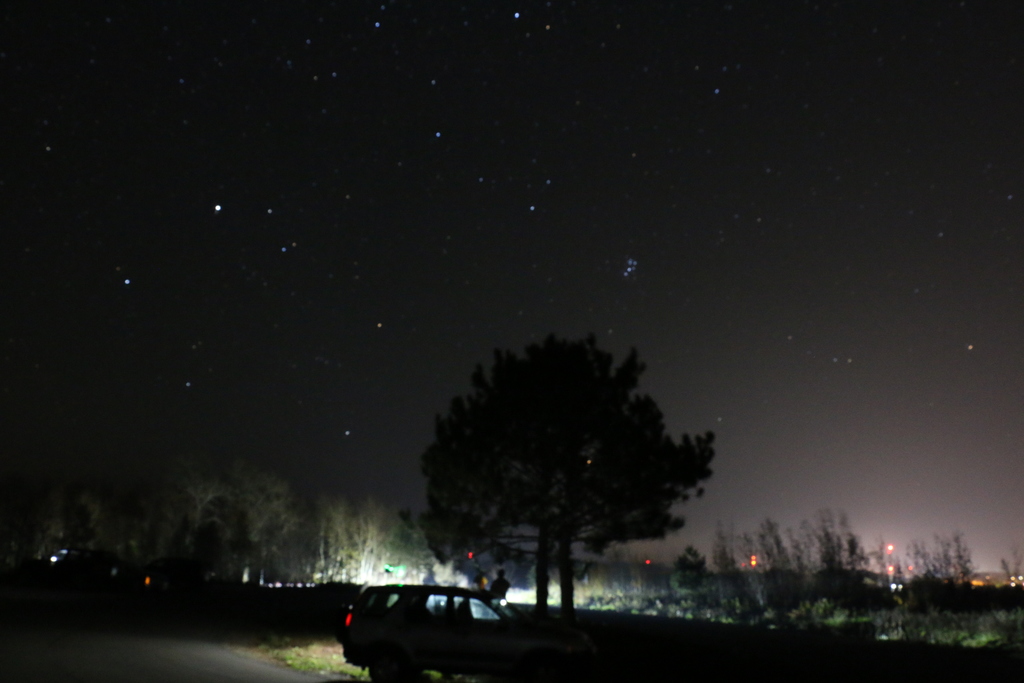 tree in the darkness with stars