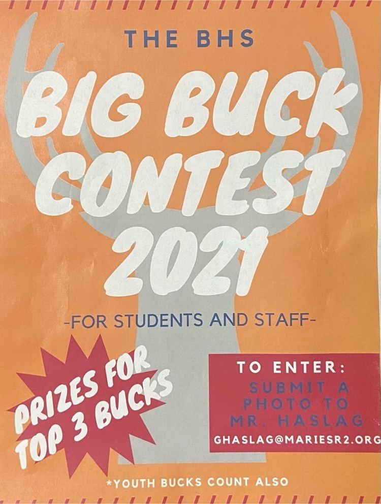 big buck contest