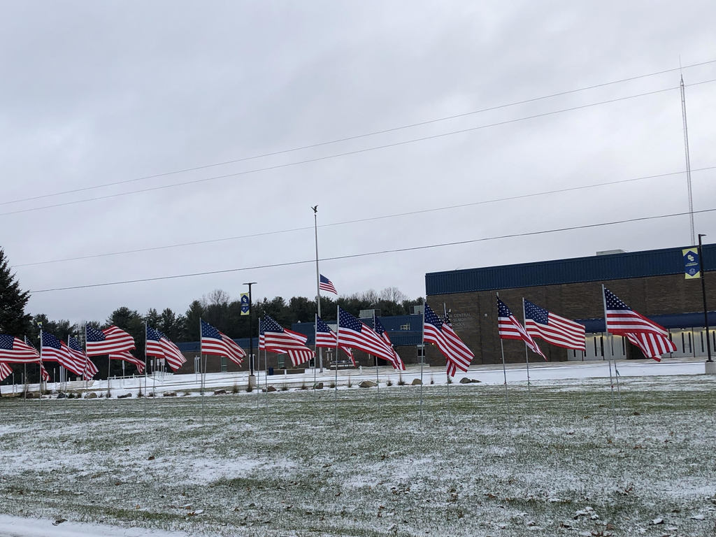 Veterans Day Flags displayed at Columbia Central