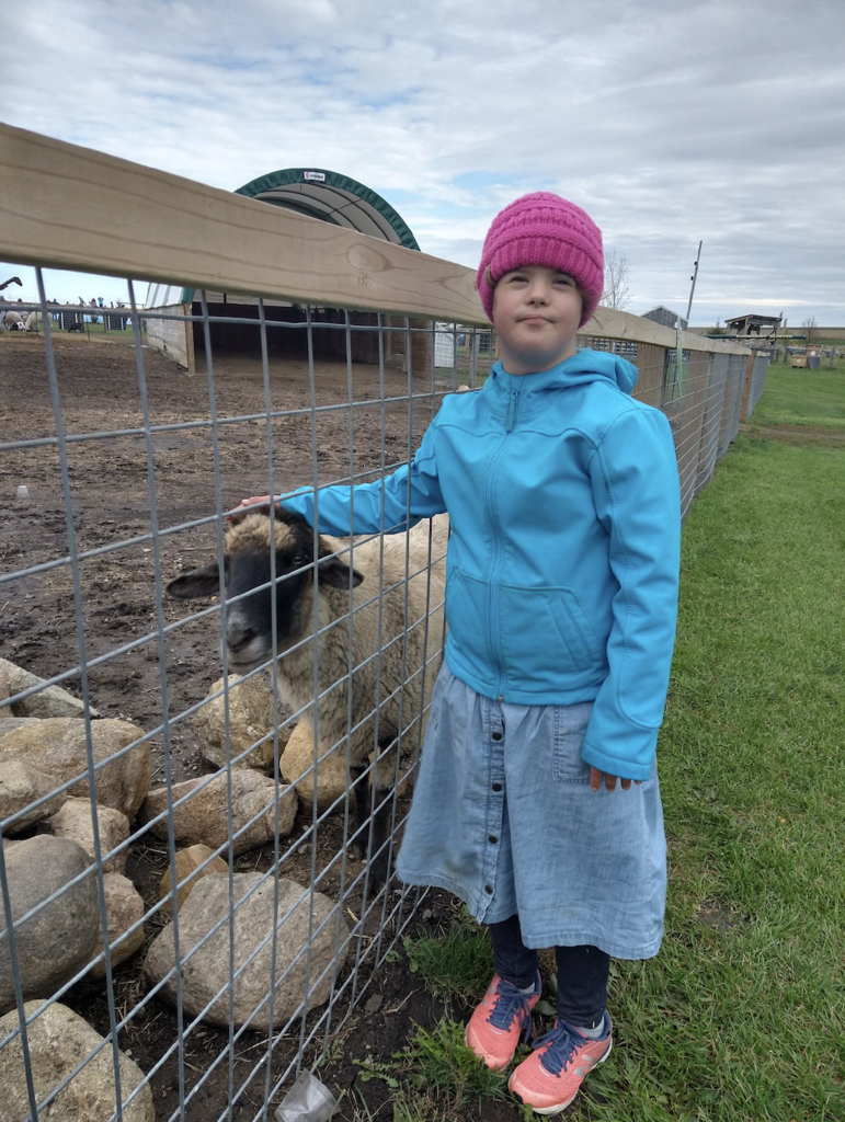 Student petting a sheep