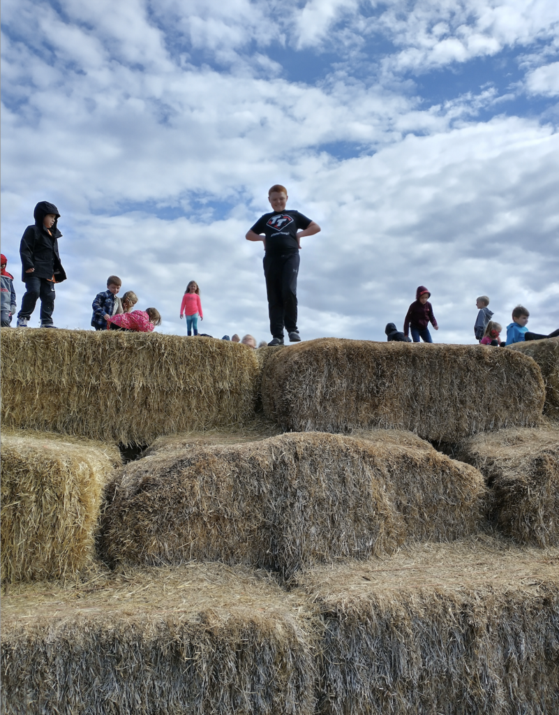 Student on a hay stack
