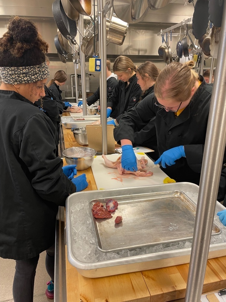 students fabricating chickens
