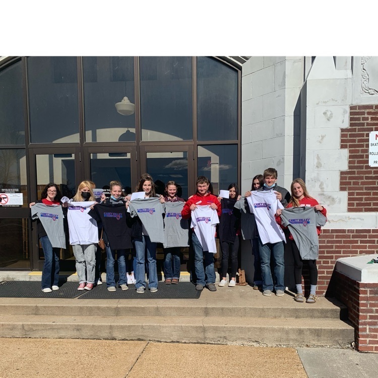 teaching as a career