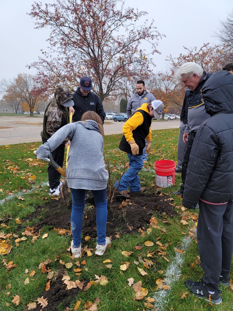 Students and staff planting lilac bush