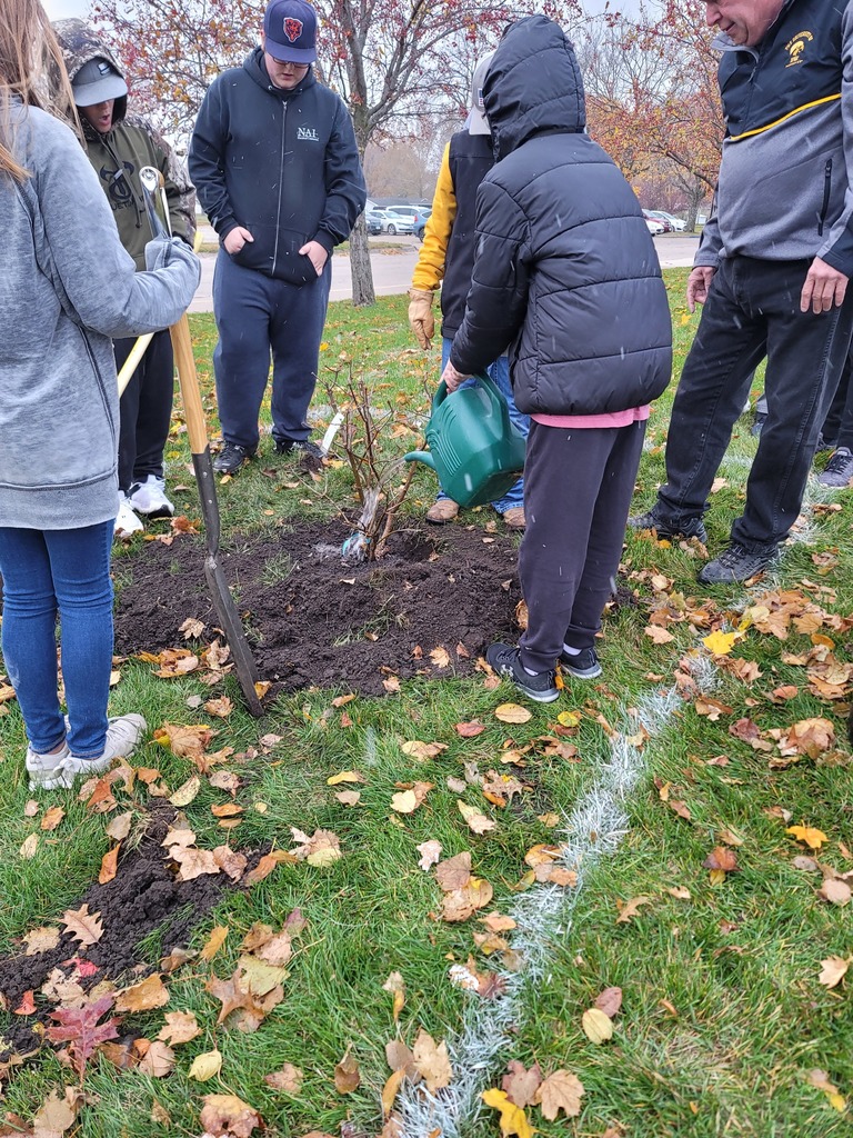 Students and staff planting lilac bush