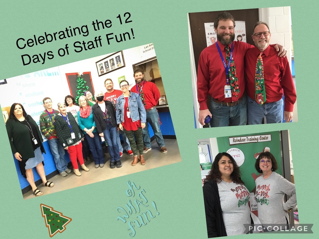 12 days of christmas fun